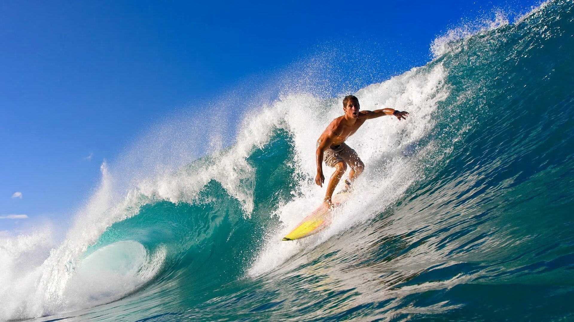 巨星群像：每个人都在自己的巅峰！，巨星star